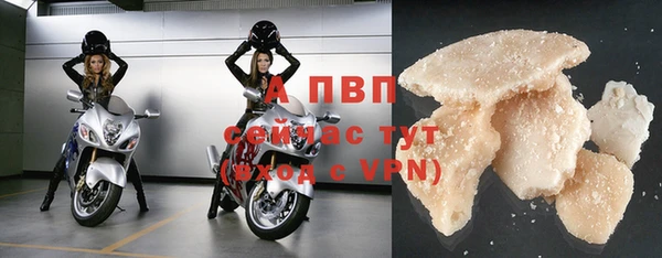 амф Аркадак