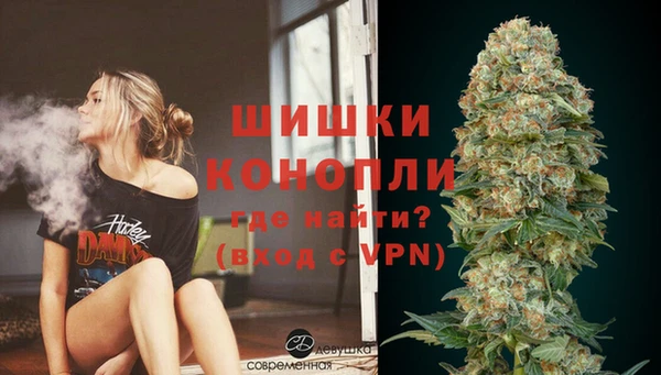 сатива Армянск
